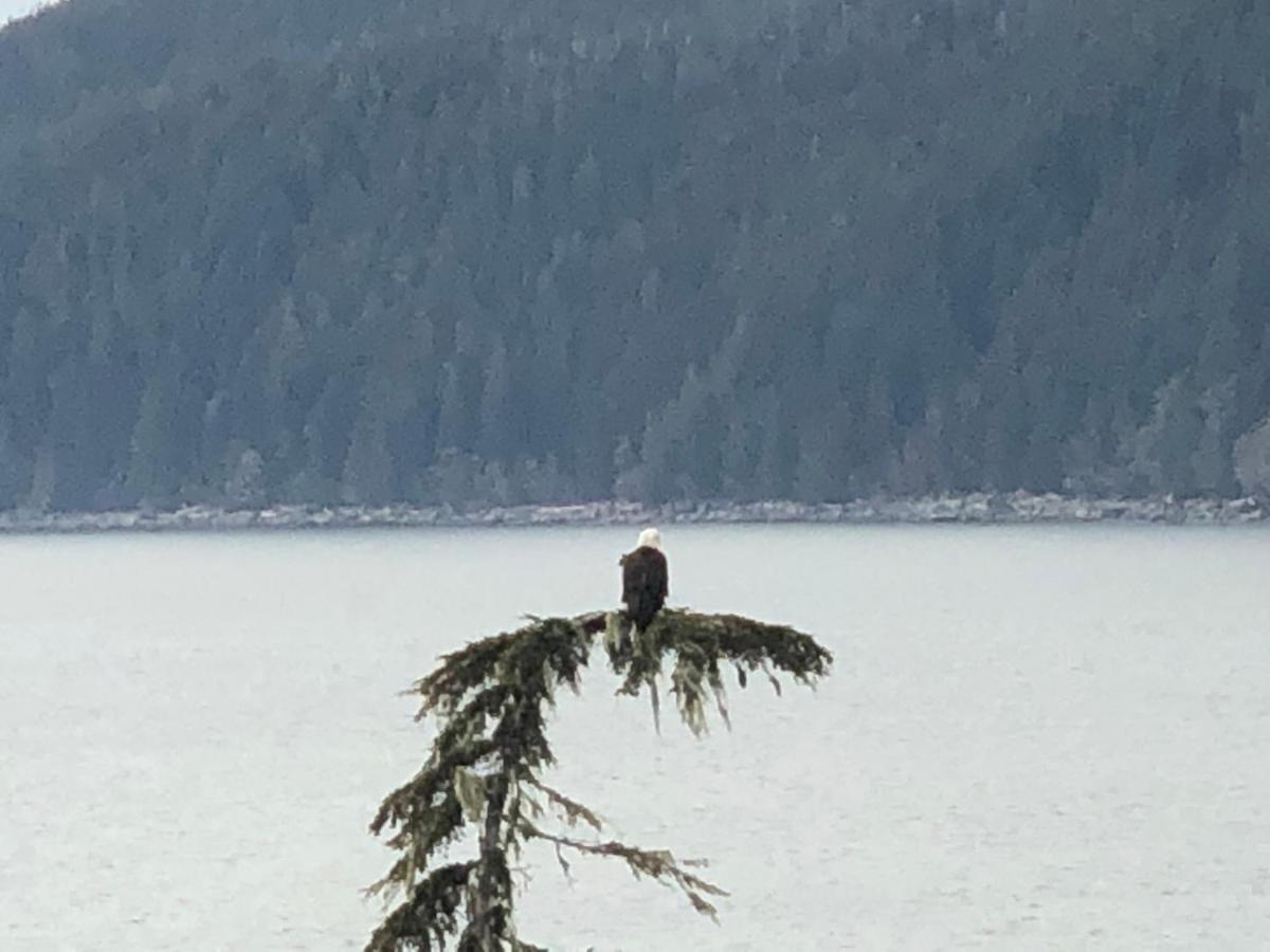 Port Renfrew Vacation Rentals Εξωτερικό φωτογραφία