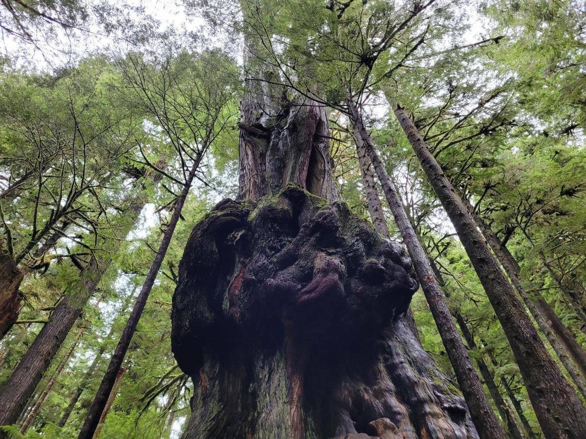 Port Renfrew Vacation Rentals Εξωτερικό φωτογραφία